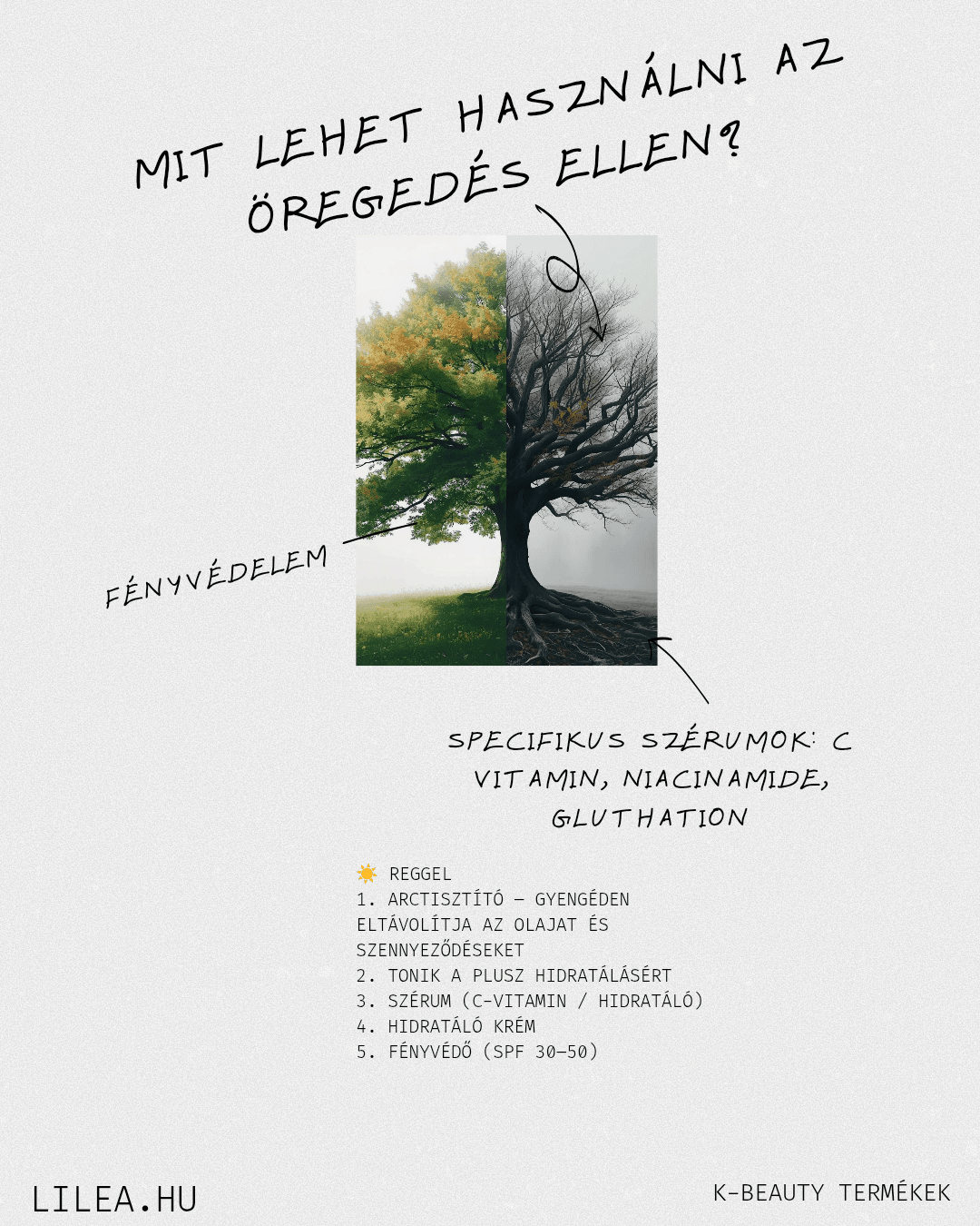 Mit lehet tenni az öregedés jelei ellen? - LiLea
